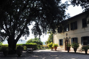 Villa Il Leccio, Strada In Chianti, Strada In Chianti